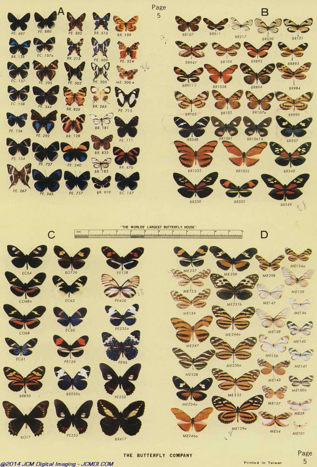 The Butterfly Company (NY) 18 page catalog 1976